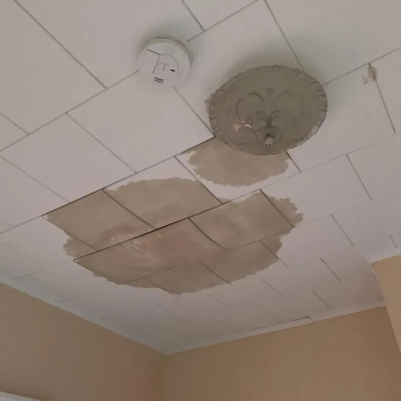 Ceiling Water Damage Repair in Seneca, KS