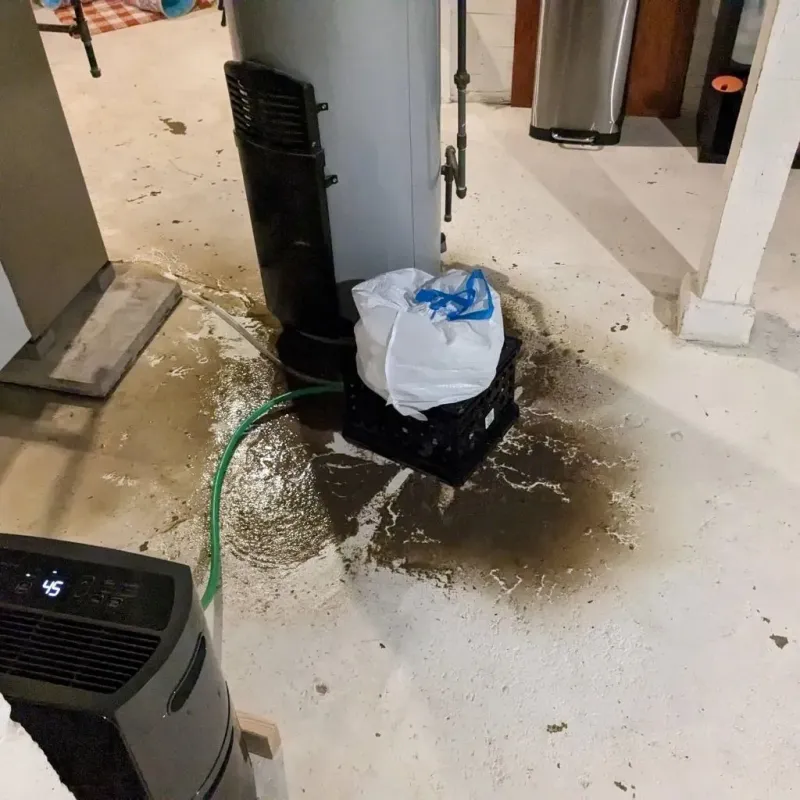 Sewage Backup Cleanup Service in Seneca, KS